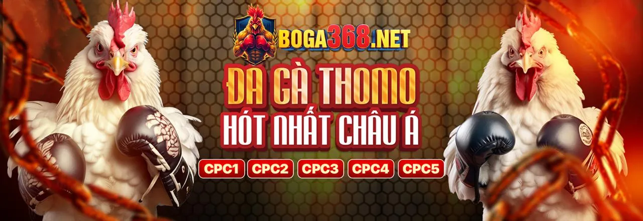 Cá cược thể thao awin68 app ios